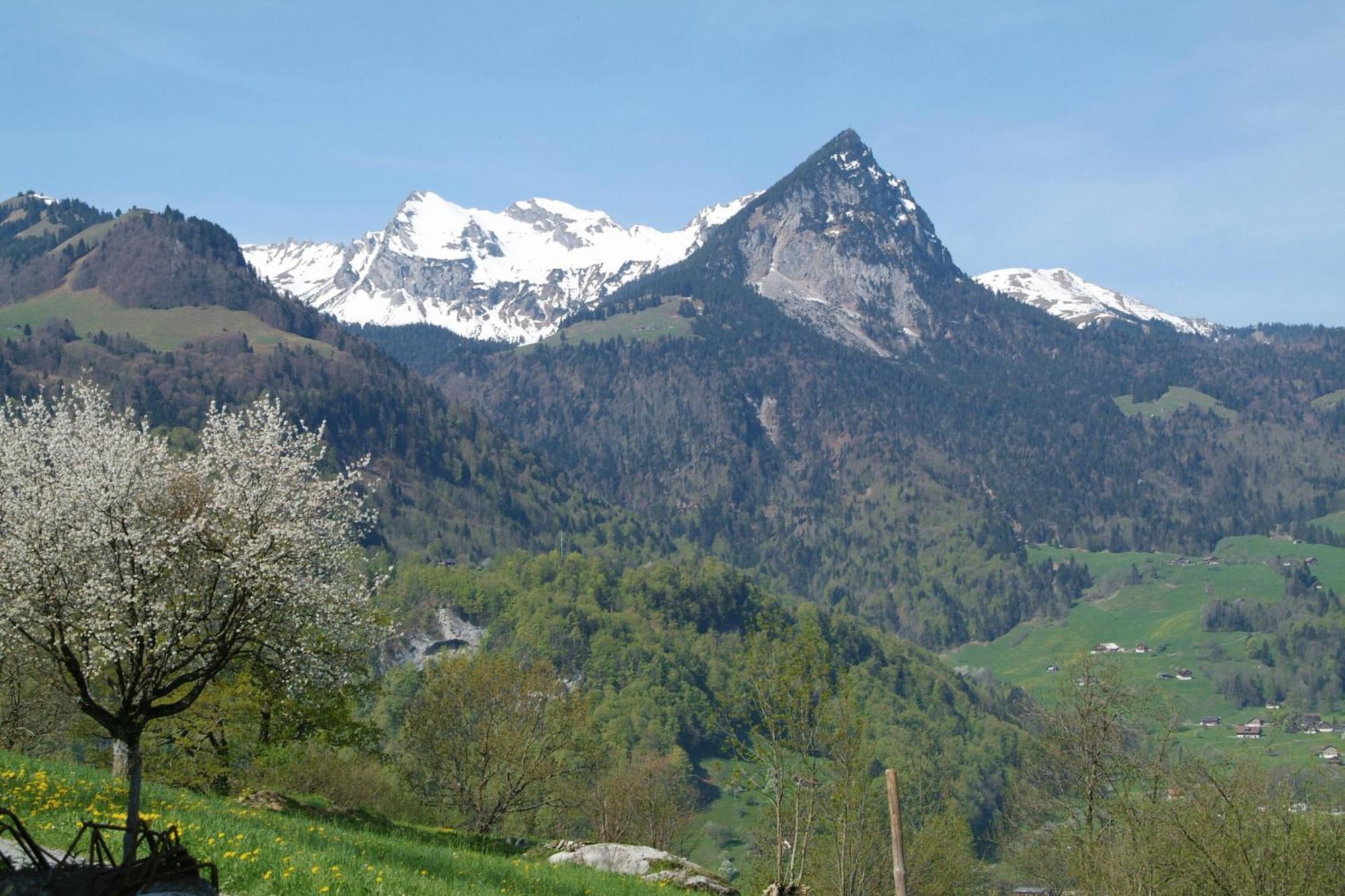 Landgasthof Grossteil Giswil Extérieur photo