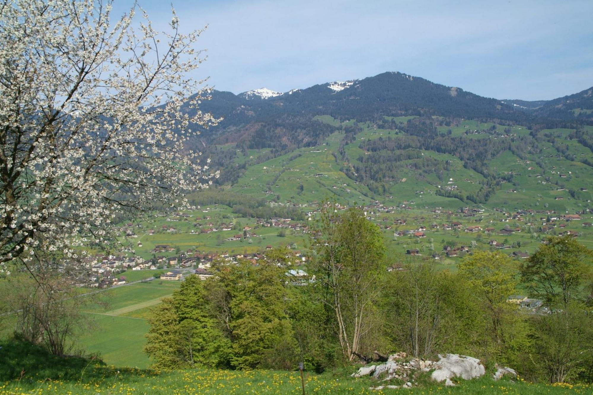 Landgasthof Grossteil Giswil Extérieur photo