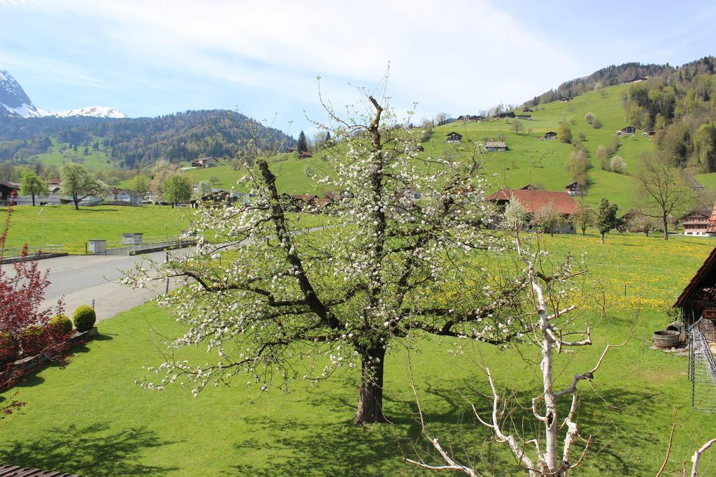 Landgasthof Grossteil Giswil Extérieur photo